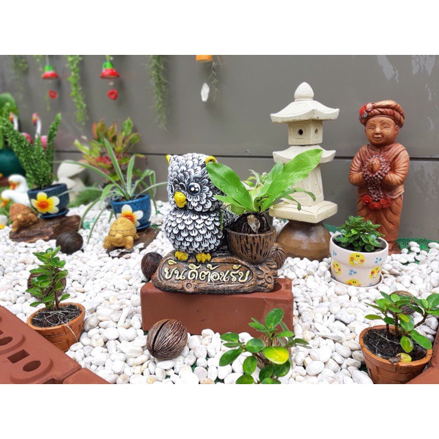 ✘หินขาว หินแต่งสวน 🔥ถุง 7.5-8 กิโล🔥💰