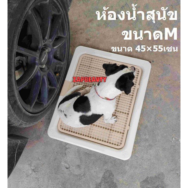 KANIMAL ห้องน้ำหมา 2ขนาด M และ XL -**ห้องน้ำสุนัข มีตัวล็อค สุนัขเล็ก -บางแก้ว-ไซบีเรียน