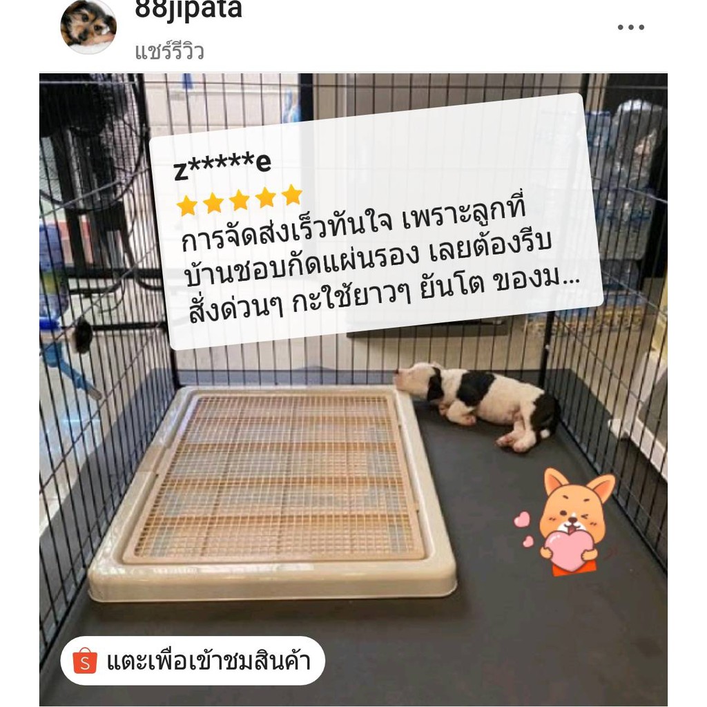 KANIMAL ห้องน้ำหมา 2ขนาด M และ XL -**ห้องน้ำสุนัข มีตัวล็อค สุนัขเล็ก -บางแก้ว-ไซบีเรียน