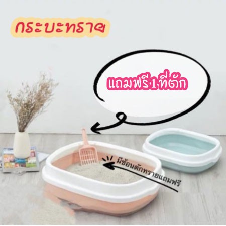 กระบะทรายแมว พร้อมที่ตัก