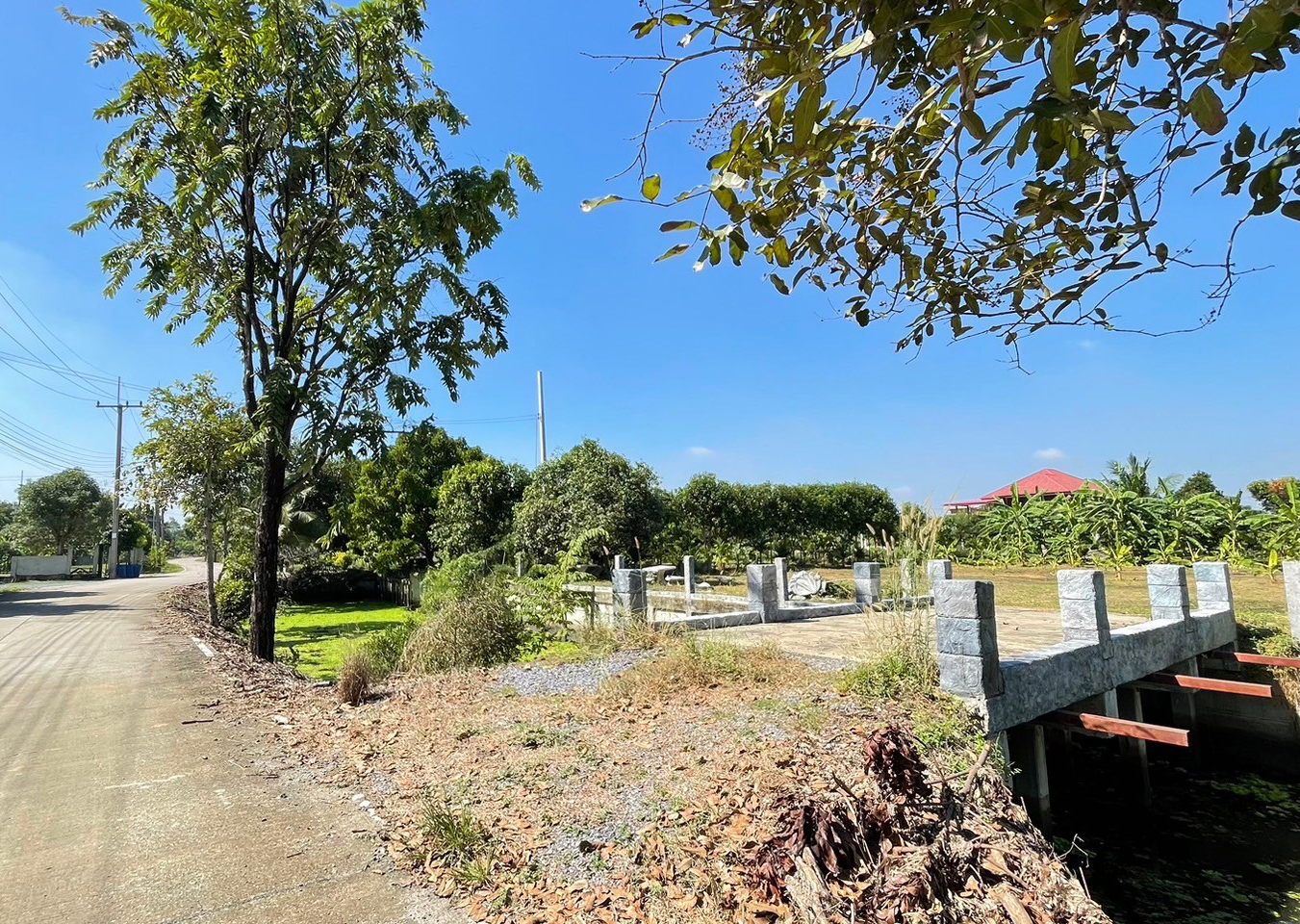 81578-ขายที่ดิน บ้านปทุม สามโคก ปทุมธานี