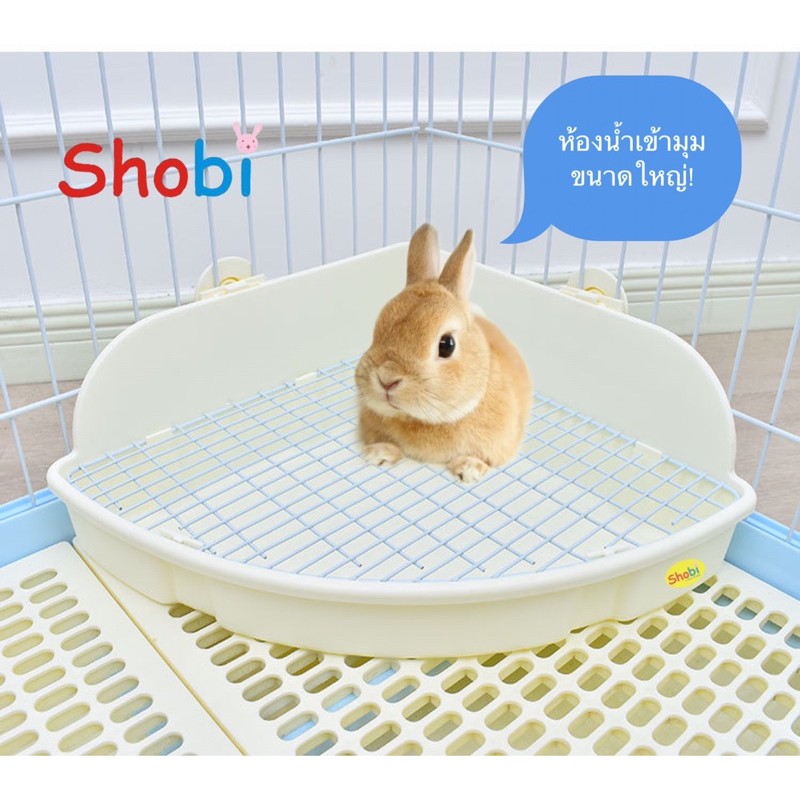 💥มาใหม่💥Shobi-958 ห้องน้ำกระต่ายเข้ามุมจัมโบ้