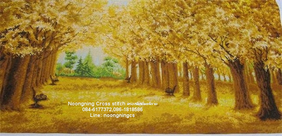 ตัวอักษรจีน ชุดปักครอสติช พิมพ์ลาย ครอสติสจีน งานฝีมือ DIY