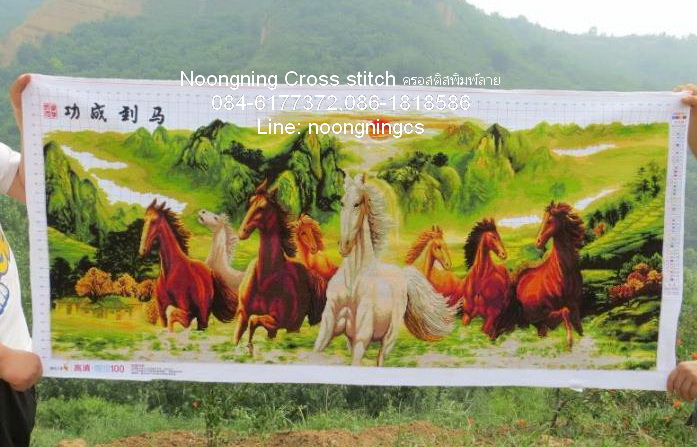 ม้าครอสติสพิมพ์ลาย