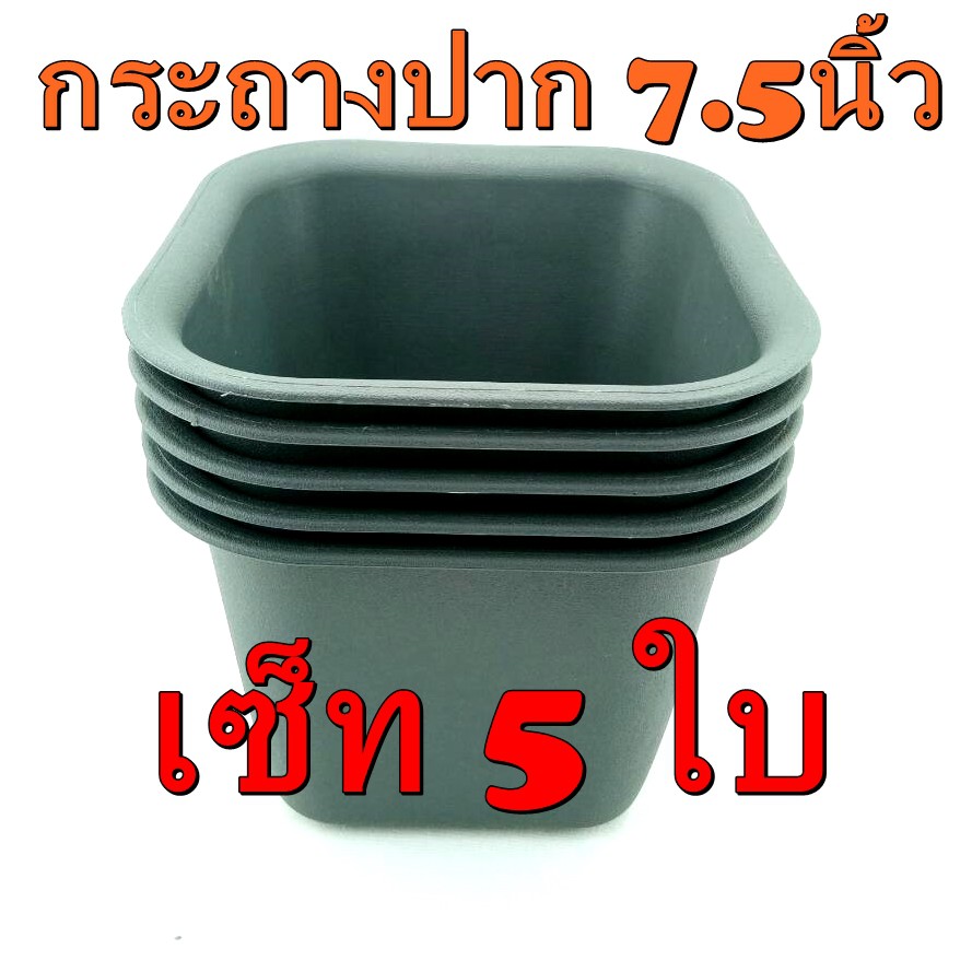 กระถาง 5 ใบ ใหญ่ 7.5นิ้ว สีดำอมเทา ปลูกต้นไม้ ได้จนโต พลาสติก ทรงเหลี่ยม ปลูก เมล็ดพันธุ์ สลัด แคคตัส สวนครัว ต้นจริง224
