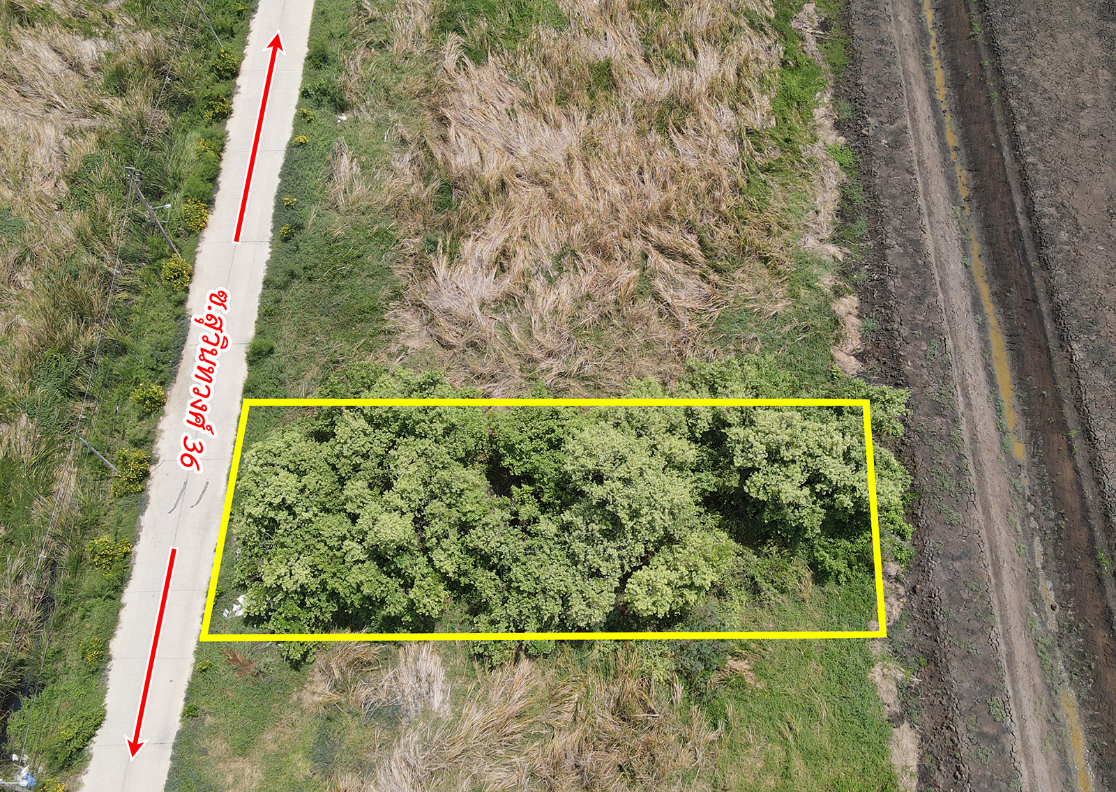 60622-ขายที่ดินราคาถูก ถนนสุวินทวงศ์ มีนบุรี กรุงเทพ