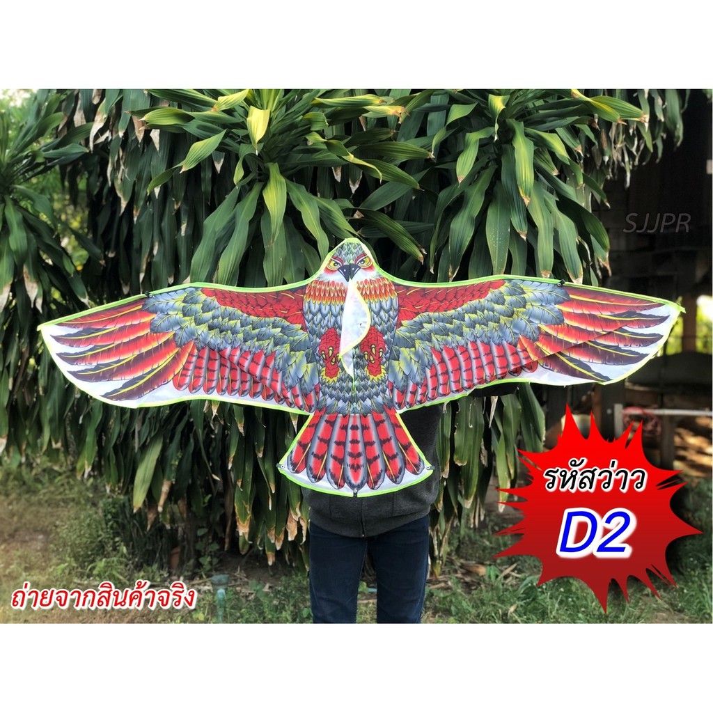 ว่าวไล่นก ว่าวนกอินทรีย์นกเหยี่ยว ว่าวไล่นกกันนกทำลายผลผลิต ว่าวตกแต่งสวน