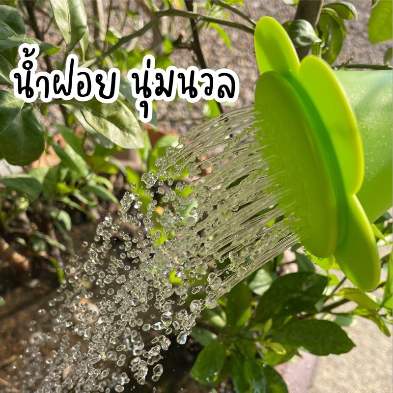 บัวรดน้ำ บัวรดน้ำต้นไม้ ฝักบัวรดน้ำ ที่รดน้ำต้นไม้ สวน พลาสติกหนา ขนาด 3 6 ลิตร