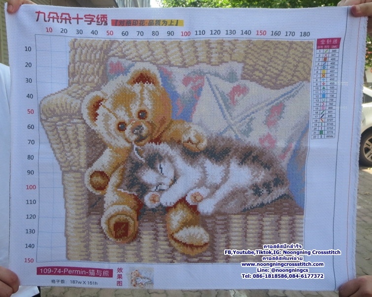 แอนิเมชั่นแมวและหมี ครอสติสปักสำเร็จ