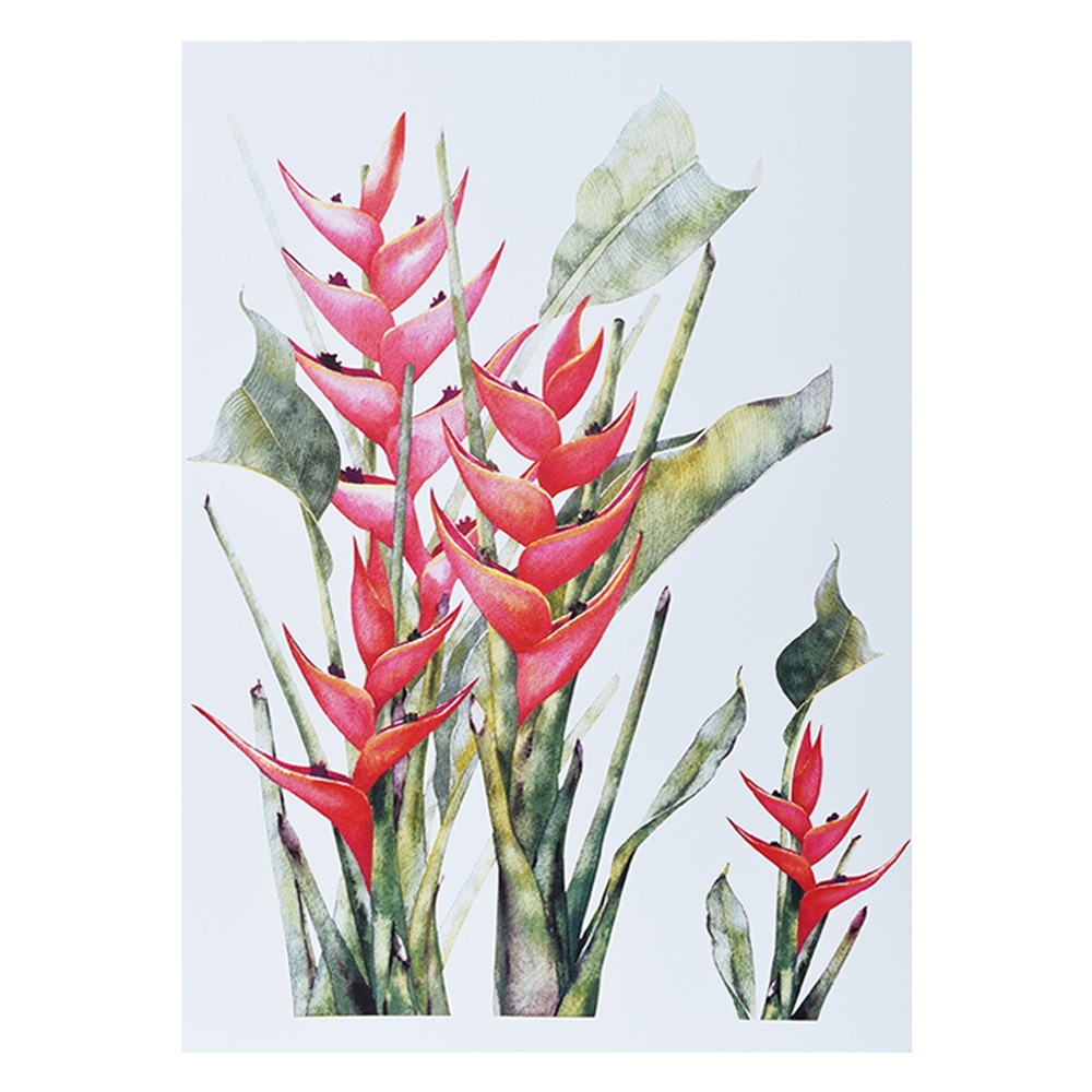 สติ๊กเกอร์ลอกน้ำ HOME LIVING STYLE FLORA 34X47CM คละสี วอลเปเปอร์และสติ๊กเกอร์ DIY