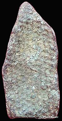 นาคปรกพิจิตร ชินเงิน