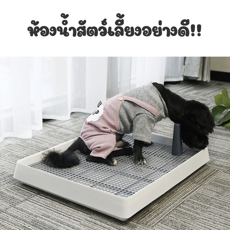 [LB] ห้องน้ำสำหรับสัตว์เลี้ยง สุนัข กระต่ายฯลฯ มีขนาดS,L ใช้งานง่าย ถอดออกล้างได้ ถาดรองกรง