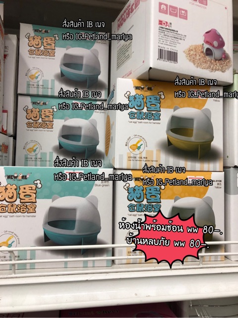 ห้องน้ำสีพาสเทล...สำหรับ ww.