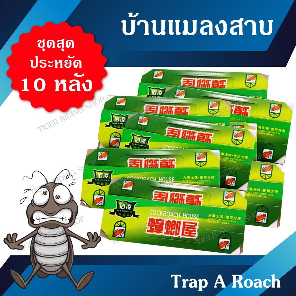 บ้านแมลงสาบ 10หลัง/ชุด กำจัดแมลงสาบได้ง่ายดาย (ผลิตภัณฑ์กาวดักแมลงสาป)