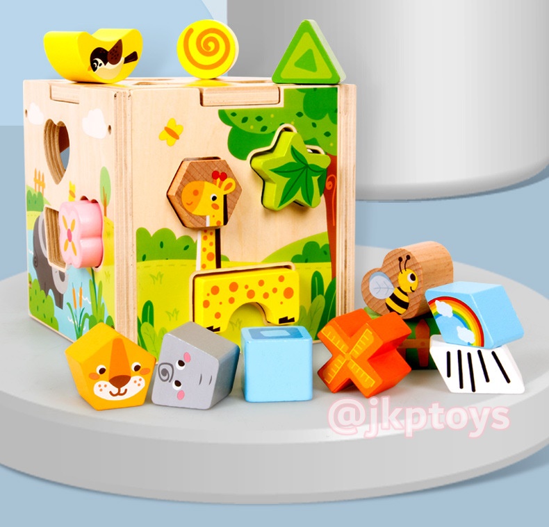 บล็อคหยอดไม้ขนาดใหญ่ 15 รูปทรง
