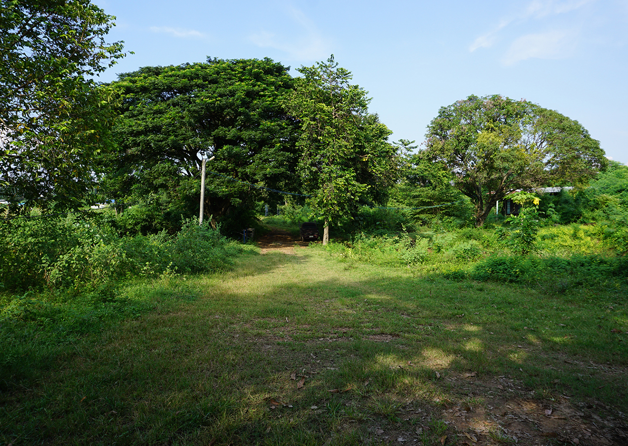 63394-ขายที่ดิน ซอยโรงไฟฟ้าแก่งคอย 2 แก่งคอย สระบุรี