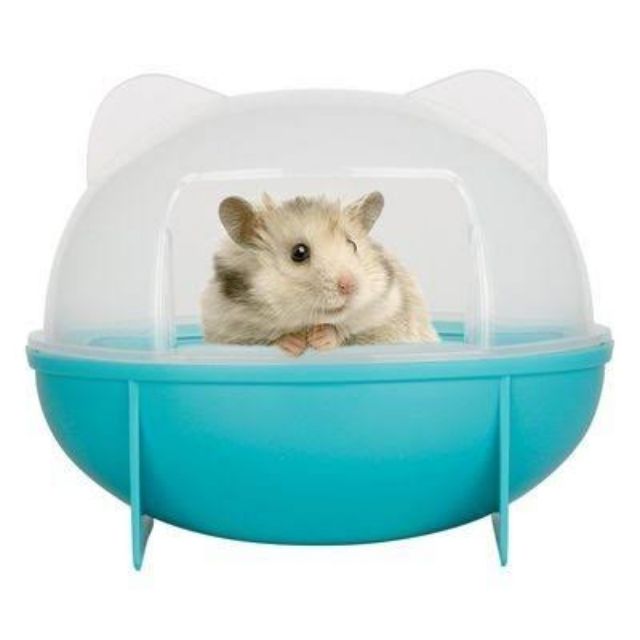 ห้องน้ำหนูแฮมเตอร์ NEWAGE ห้องน้ำหนูไจแอนท์ และหนูพันธุ์ชนิดอื่นๆ (รุ่นหัวหมี)