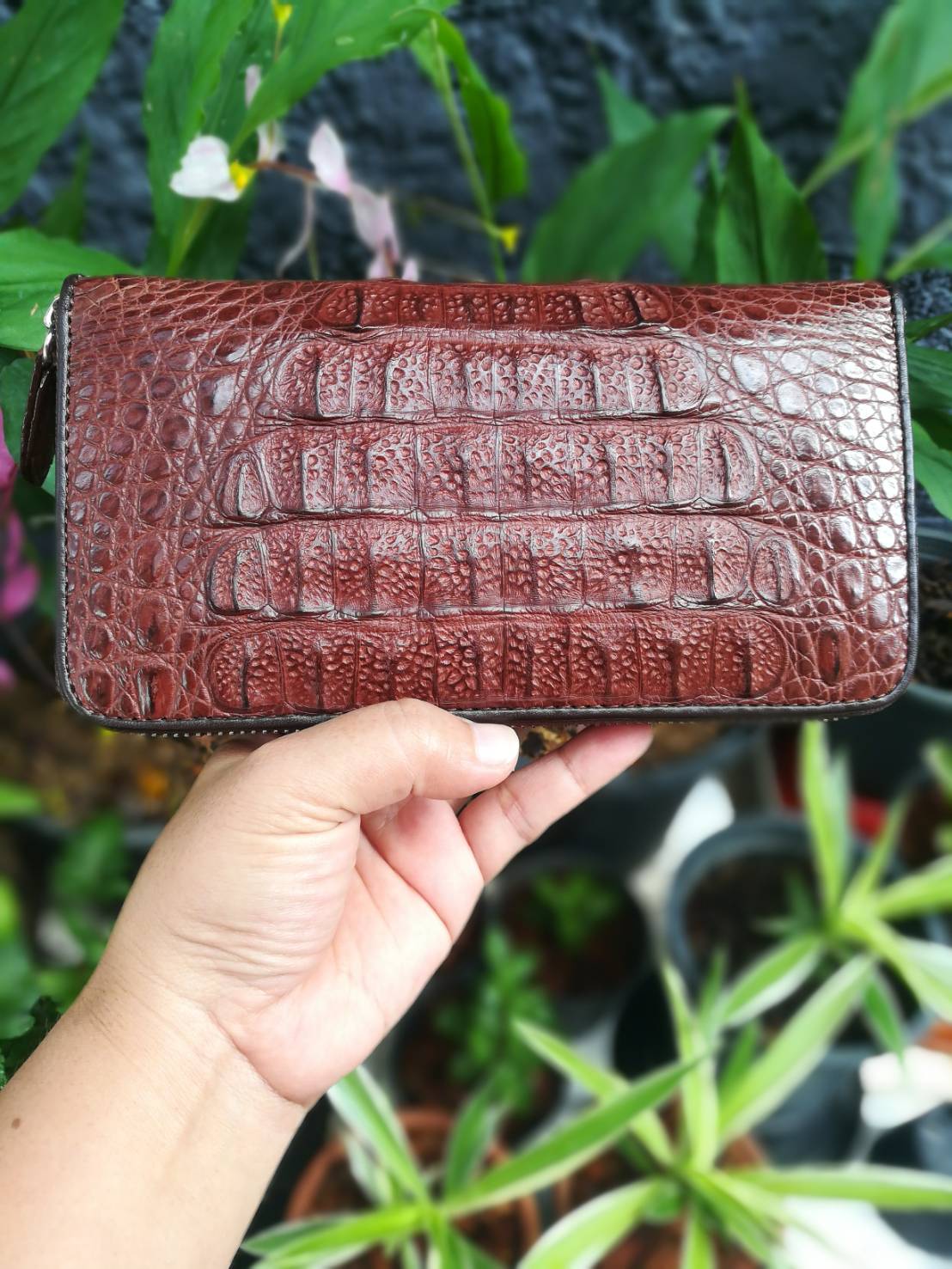 กระเป๋าหนังจระเข้แท้แบบซิปเดี่ยว(หนังกระดูกหัว)