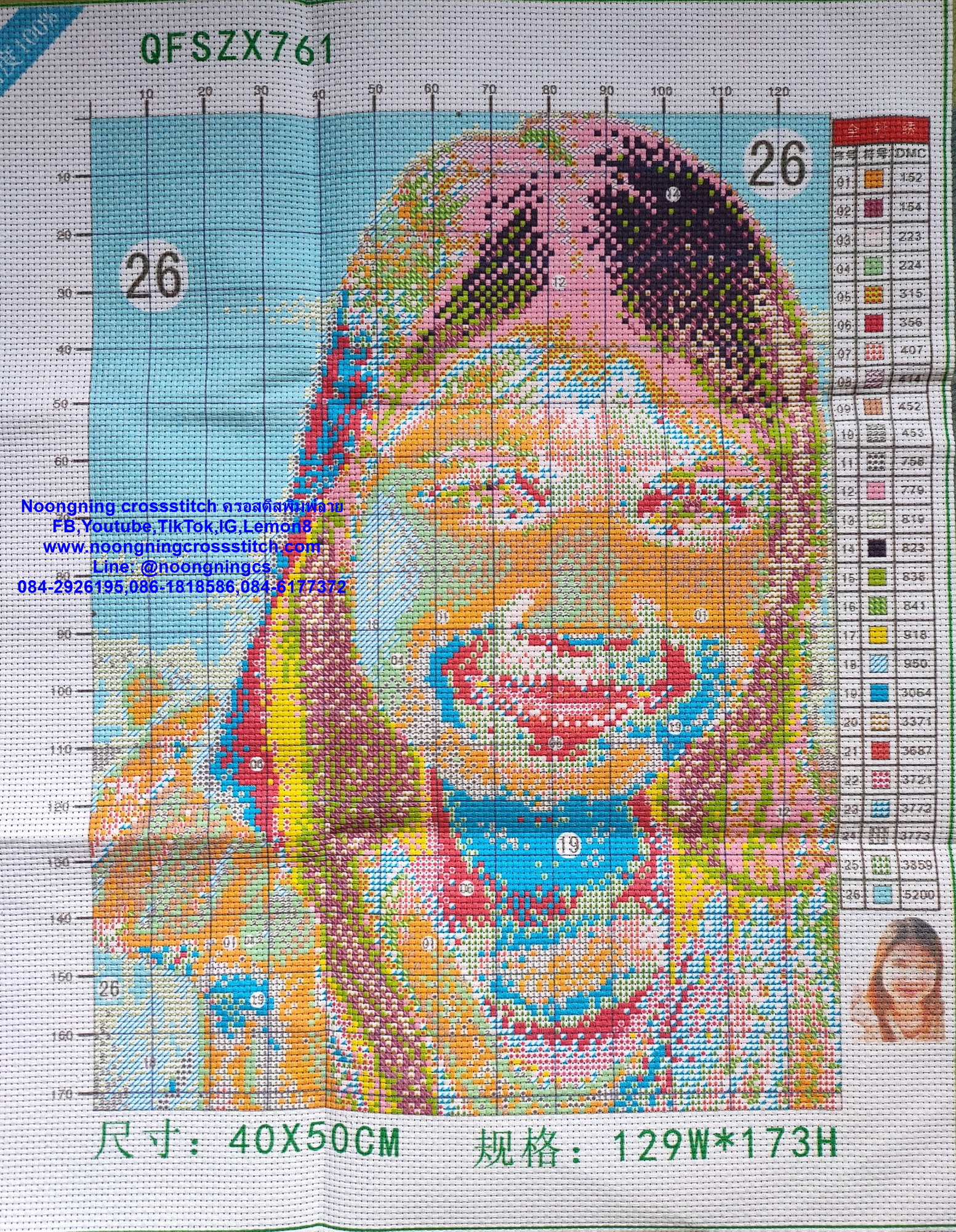ครอสติส สั่งทํา 40x50ซม รูปตัวเอง ชุดปักครอสติส พิมพ์ลาย ครอสติสจีน งานฝีมือทำที่บ้าน DIY