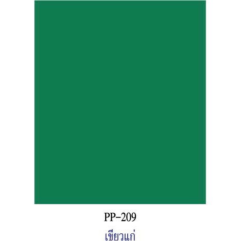 สีเขียวแก่ กระดาษโปสเตอร์สี 2 หน้า 20 แผ่น PP209