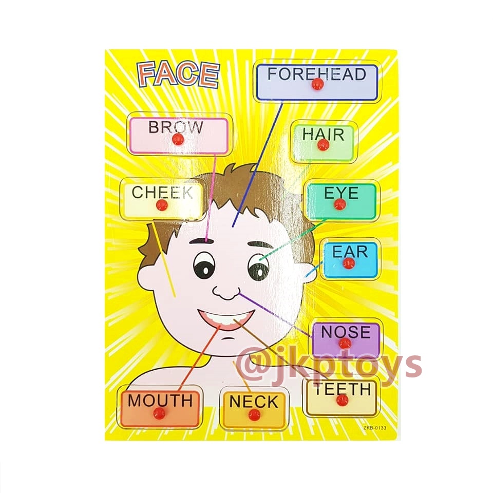 หมุดไม้สอนคำศัพท์ใบหน้า