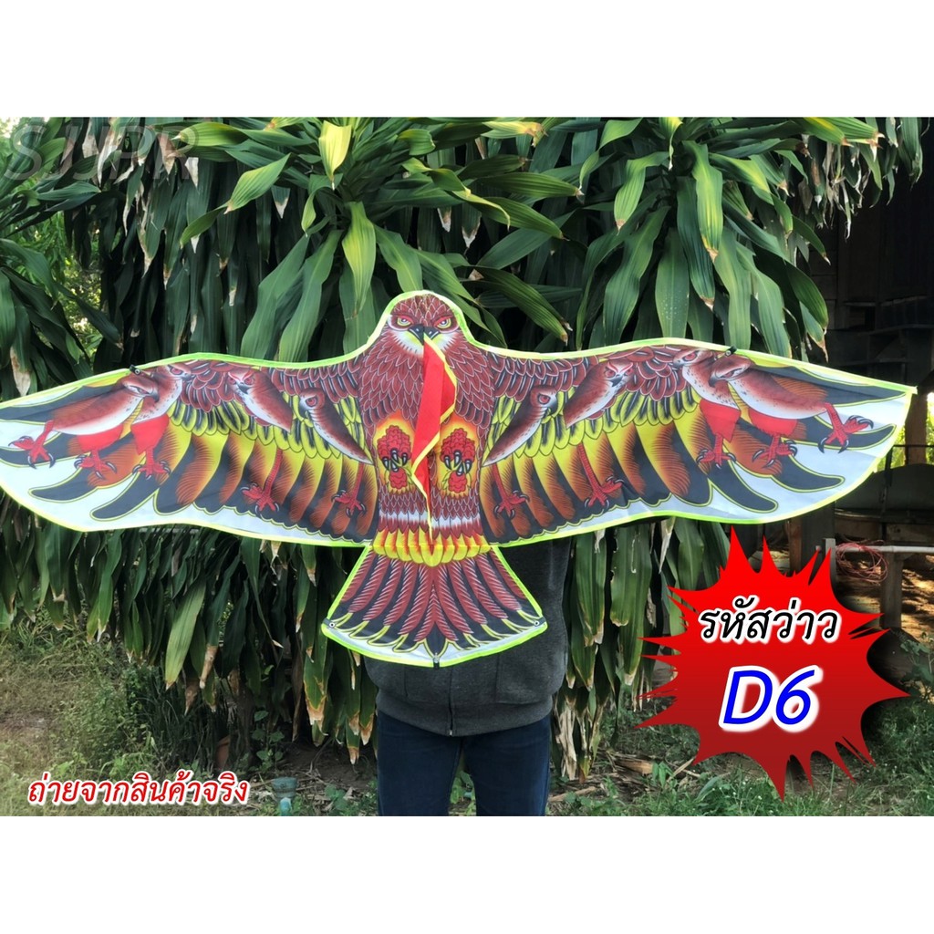 ว่าวไล่นก ว่าวนกอินทรีย์นกเหยี่ยว ว่าวไล่นกกันนกทำลายผลผลิต ว่าวตกแต่งสวน