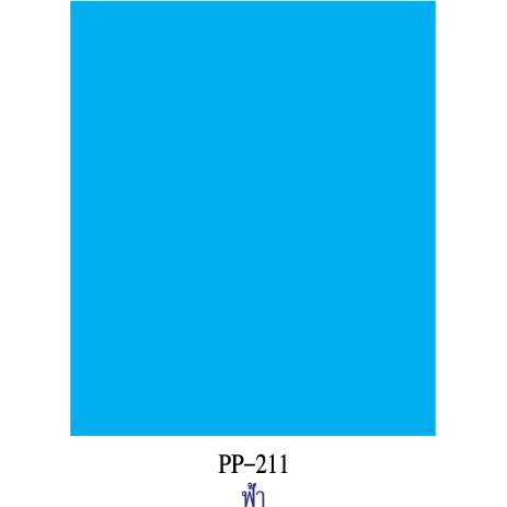สีฟ้า กระดาษโปสเตอร์สี 2 หน้า 20 แผ่น PP211