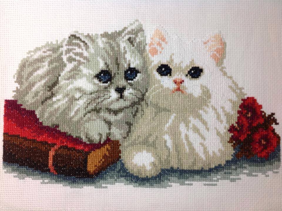 อินทรีย์ ชุดปักครอสติช พิมพ์ลาย ครอสติสจีน งานฝีมือ DIY