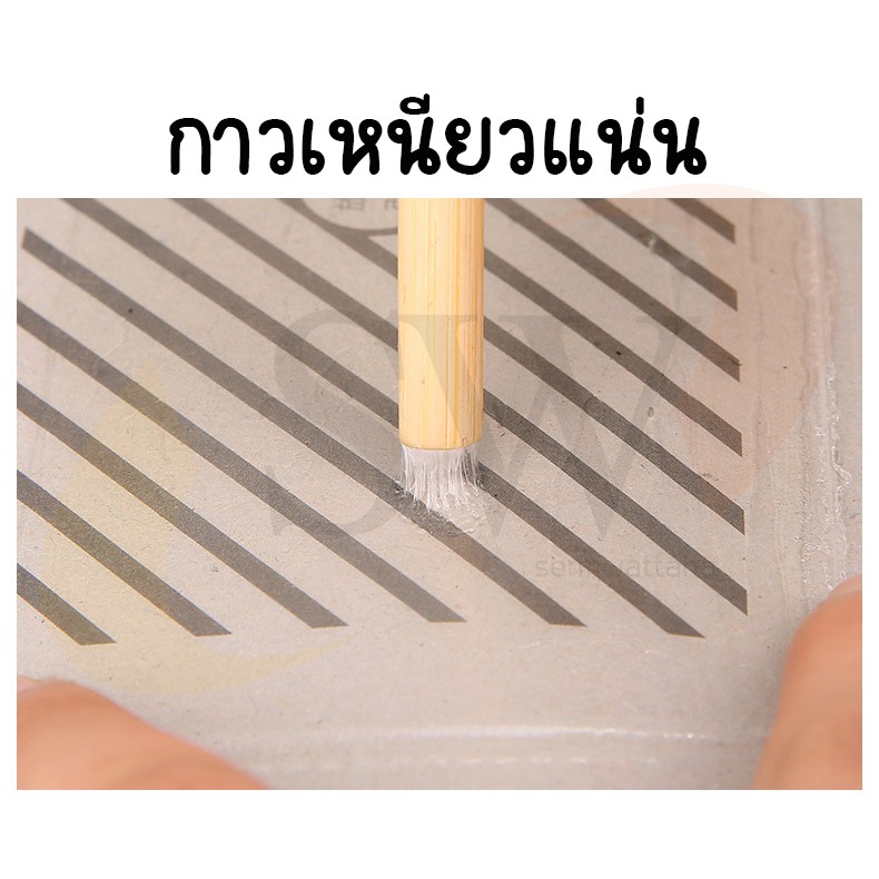 บ้านแมลงสาบ ดักจิ้งจก แมลงสาบ จิ้งจก สินค้าใหม่ ปลอดภัยไม่มีสารเคมี บ้านแมลงสาป