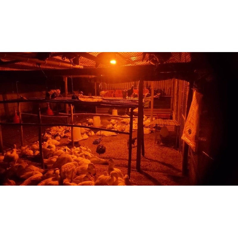 หลอดไฟไล่ยุงและแมลงระบบโซล่าเซลล์ 120Wปิด-เปิดอัตโนมัตสามารถชาร์แผงโซลาเซลล์และไฟบ้านได้