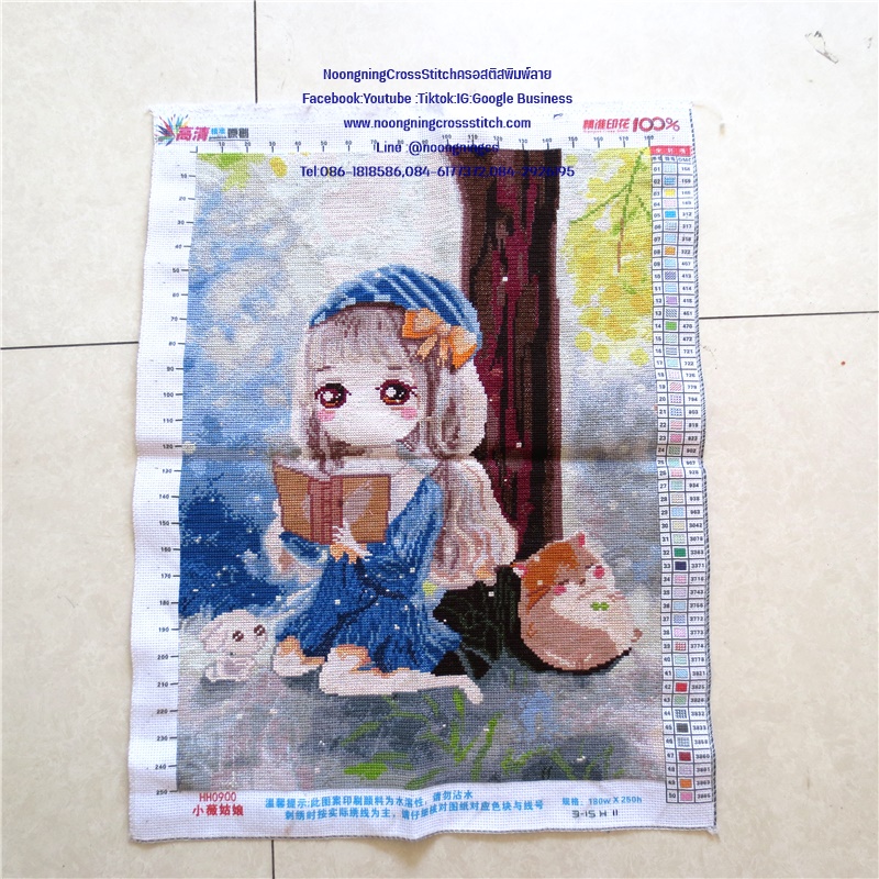 สาวน้อยรักการอ่าน ครอสติสปักสำเร็จ