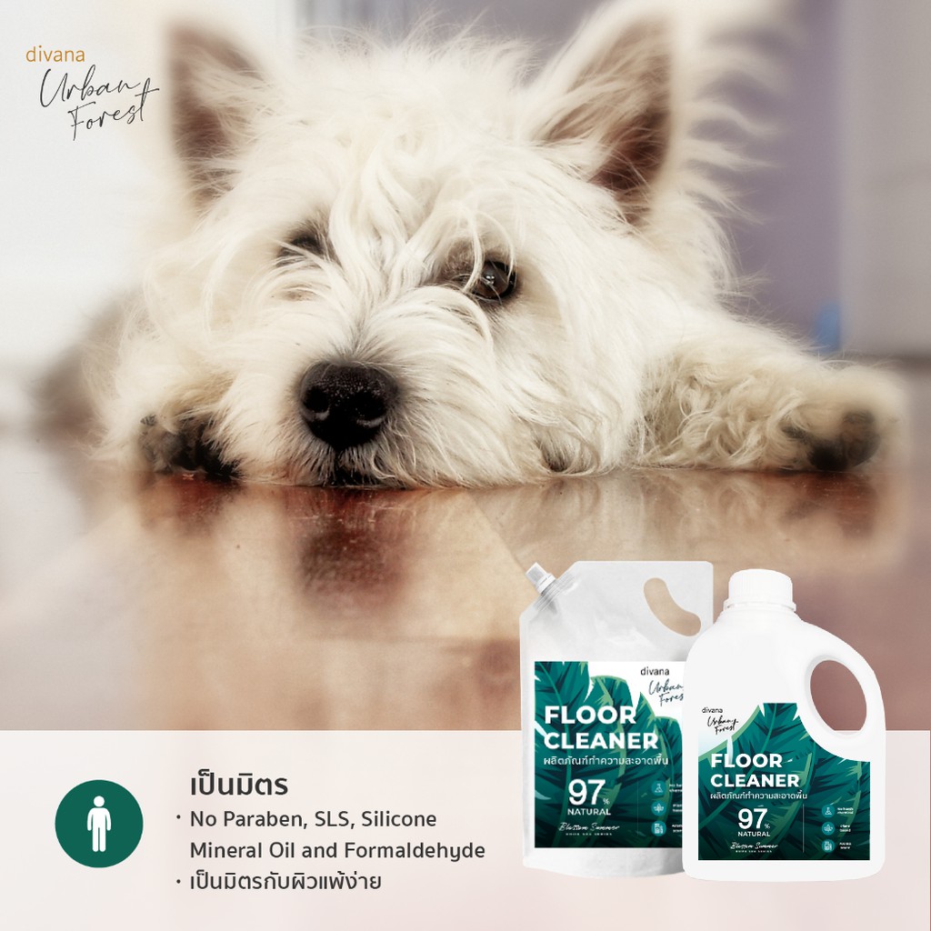น้ำยาถูพื้น Divana Urban Forest ชนิดขวด 900 มล กลิ่น Blossom Summer สูตรอ่อนโยน บ้านหอม สะอาด
