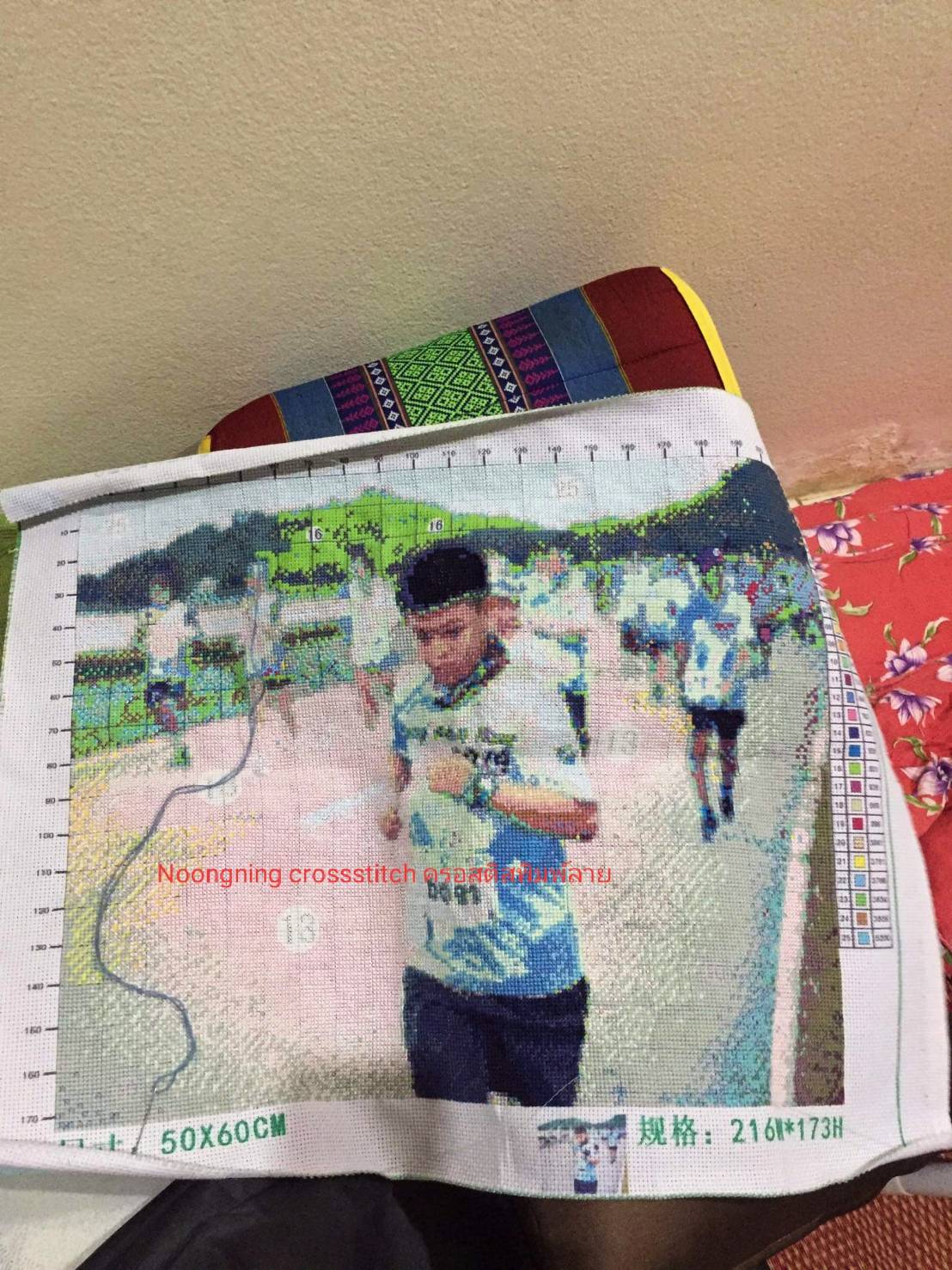 ครอสติส สั่งทํา 50x60ซม รูปตัวเอง ชุดปักครอสติส พิมพ์ลาย ครอสติสจีน งานฝีมือทำที่บ้าน DIY