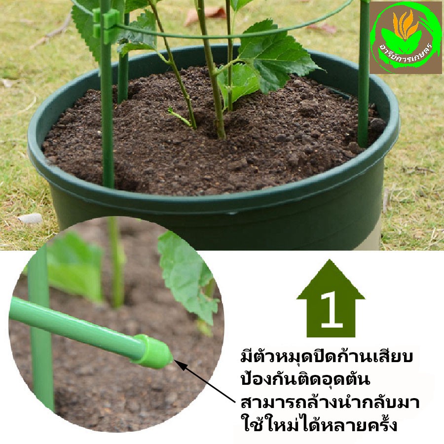 เซตโครงพยุงไม้เลื้อย ผักสวนครัว หลักล้อมใช้ปักลงในกระถางต้นไม้ จัดโครงต้นไม้ให้สวยงามตั้งตรง และทำโครงไม้เลื้อยได้ง่าย