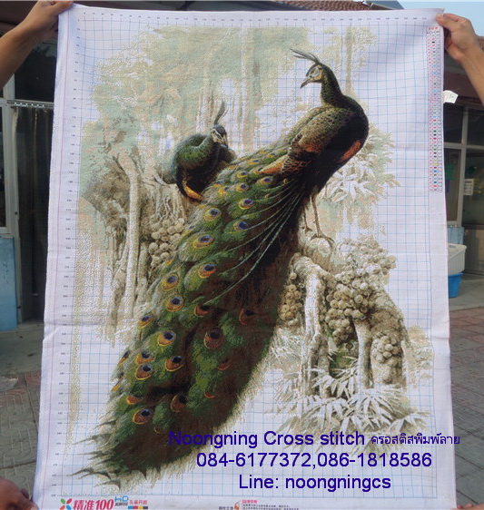 ไฉ่ชิ้งเอี้ย ชุดปักครอสติส พิมพ์ลาย ครอสติสจีน งานฝีมือทำที่บ้าน DIY