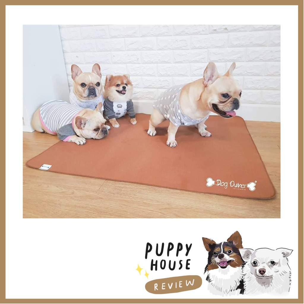 แผ่นรองฉี่สุนัขซักได้ (Dog Owner) ผ้ารองฉี่ แผ่นรองฉี่สุนัข ห้องน้ําสุนัข
