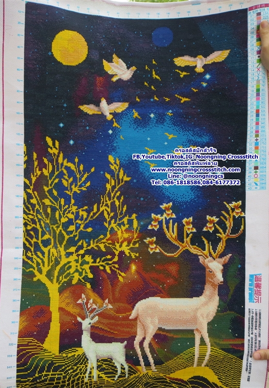 กวางสีขาวนวล ครอสติสปักสำเร็จ