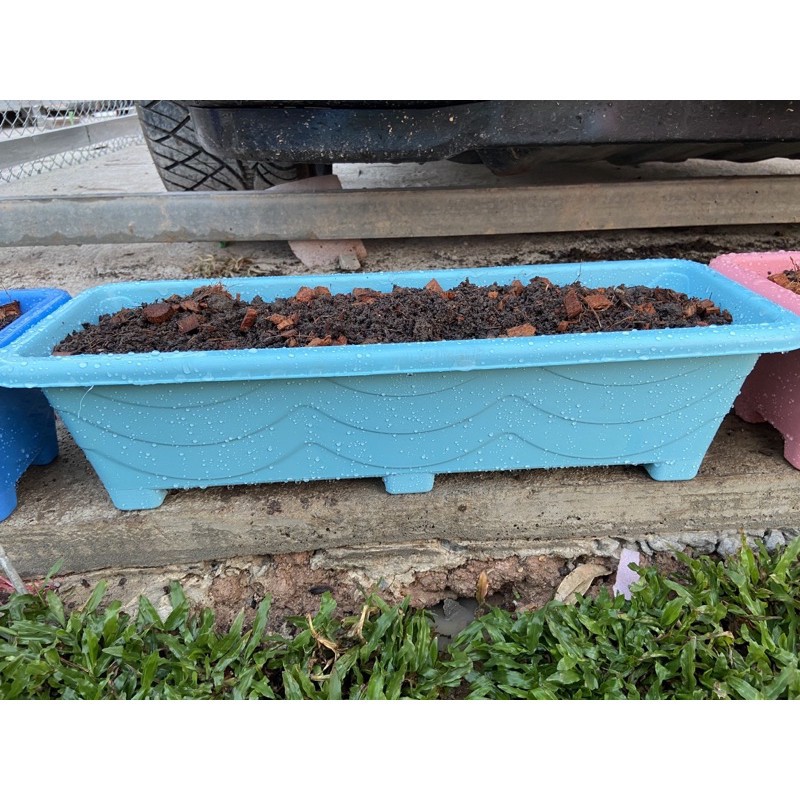 กระถางต้นไม้ กระถางต้นไม้พลาสติกรางยาว ปลูกต้นไม้และผักสวนครัว ขนาดยาว 21 นิ้ว กว้างและสูง 6 นิ้ว