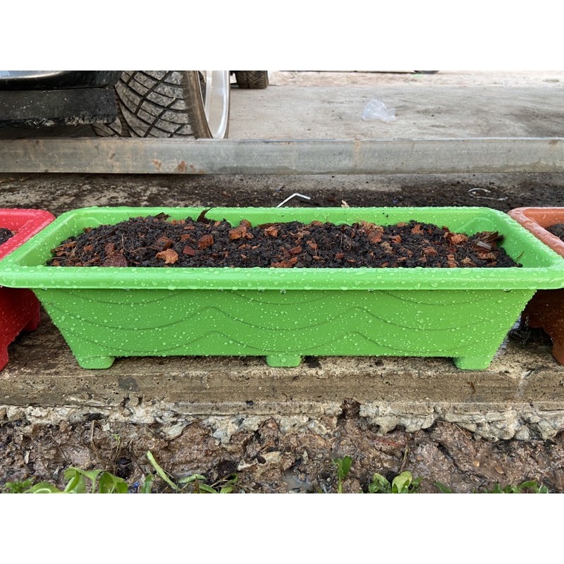 กระถางต้นไม้พลาสติกรางยาว ปลูกต้นไม้และผักสวนครัว ขนาด ยาว 31.5 ซม. x สูง 9 ซม. x กว้าง 10.5 ซม.