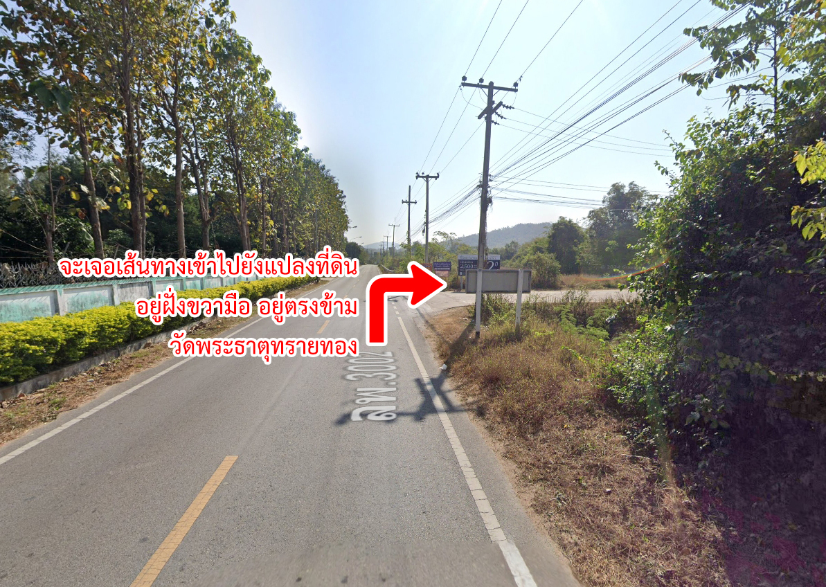 76930-ขายที่ดิน หนองหนาม อำเภอเมืองลำพูน จังหวัดลำพูน