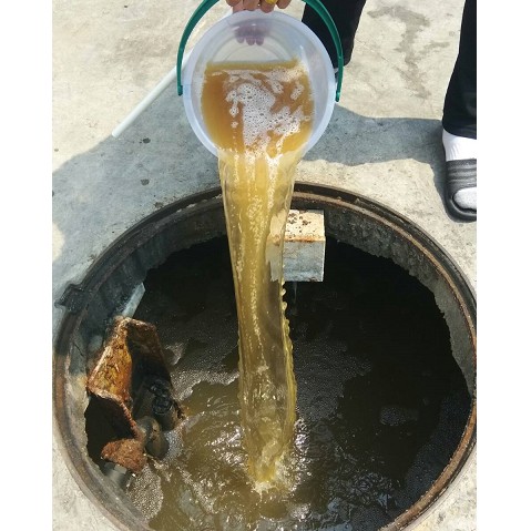 หัวเชื้อเข้มข้นจุลินทรีย์ผงกำจัดกลิ่น ห้องน้ำ ท่อน้ำทิ้ง ถังแซท ❌เก็บเงินปลายทาง (ซอง 1 Kg.)