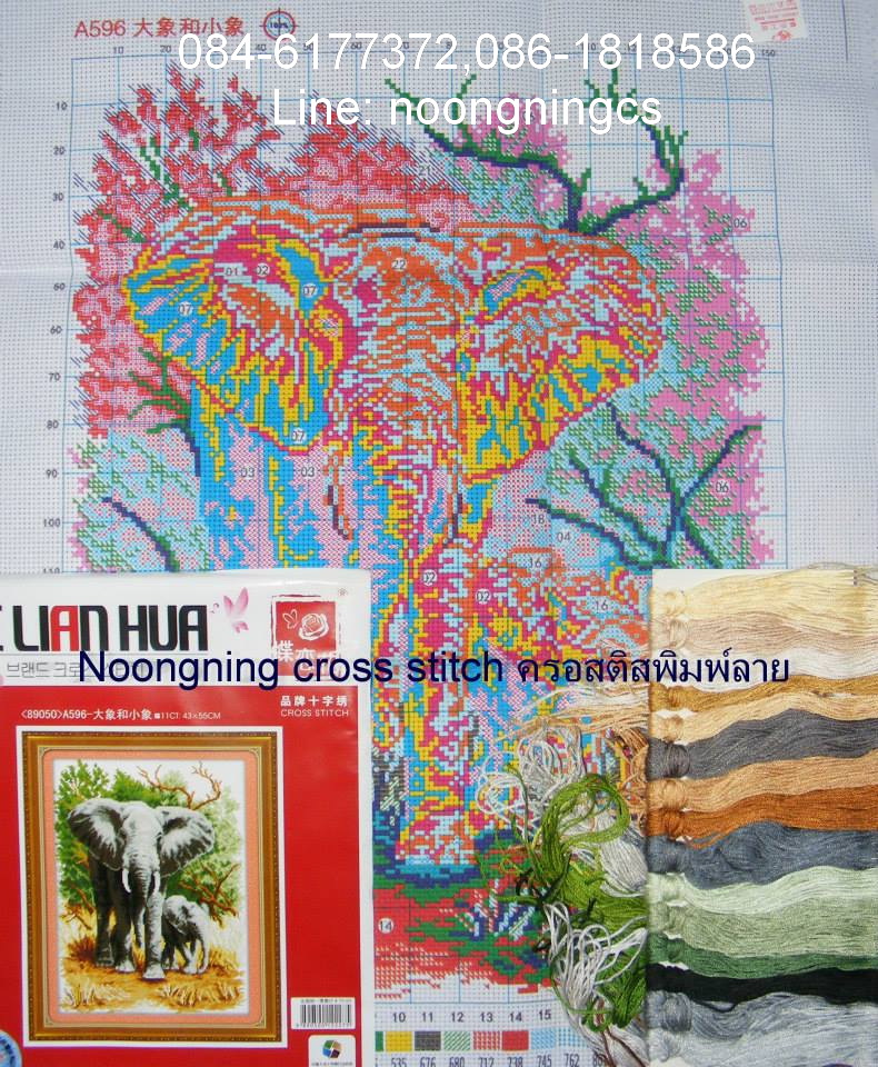 ม้าครอสติสจีนพิมพ์ลาย