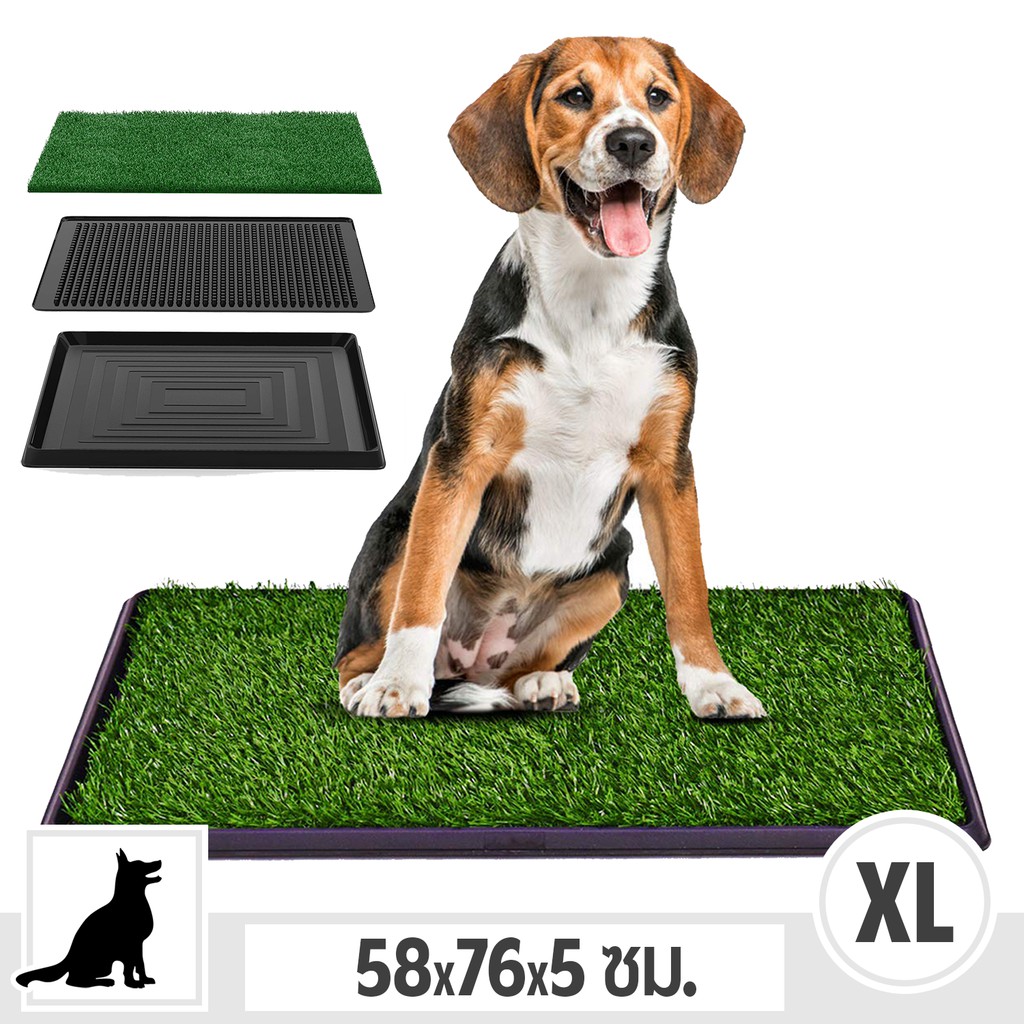 [🔥พร้อมส่ง] PET POTTY ห้องน้ำสุนัข แผ่นซับฉี่สุนัข ถาดฉี่ ห้องน้ำสัตว์เลี้ยง แผ่นฉี่สุนัข Pee Pad Dog Toilet Cleverpet