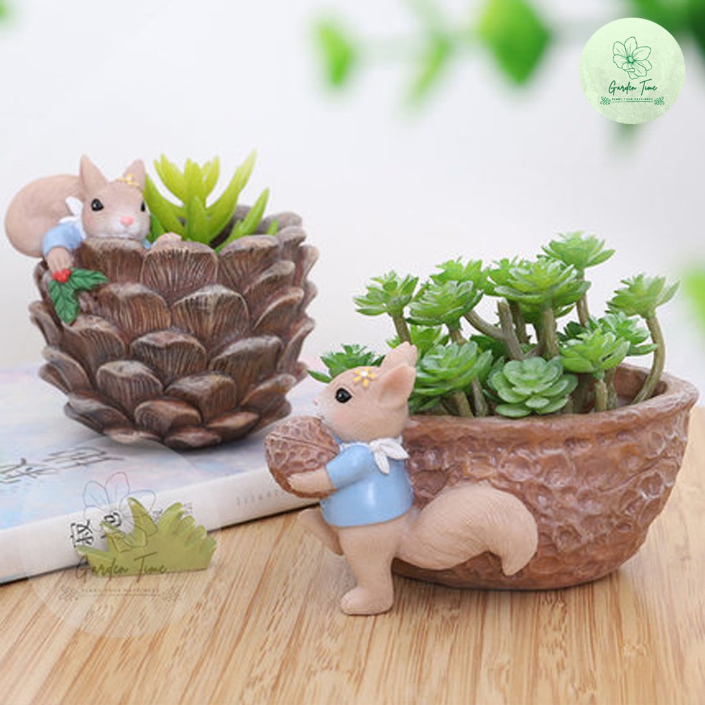 กระถางเรซินกระรอก Resin Pots กระถางไม้อวบน้ำ กระถางต้นไม้ กระถางกุหลาบหิน แต่งสวน ของขวัญ ของชำร่วย ต้นไม้