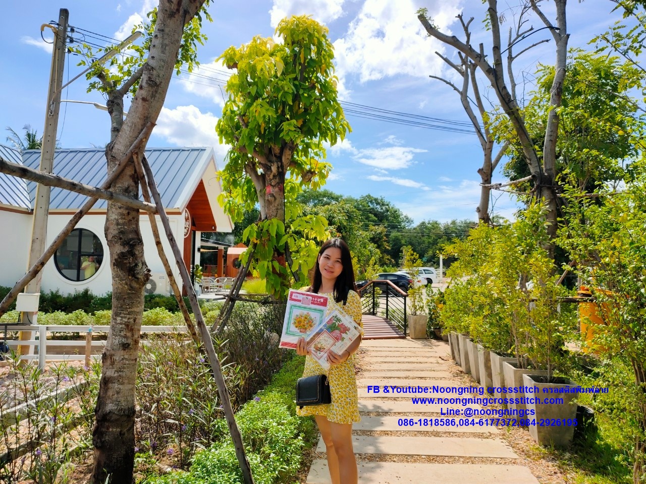 ปราสาทสวยงาม ชุดปักครอสติช พิมพ์ลาย ครอสติสจีน งานฝีมือ DIY