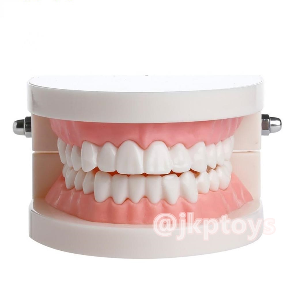 โมเดลฟันเสมือนจริง