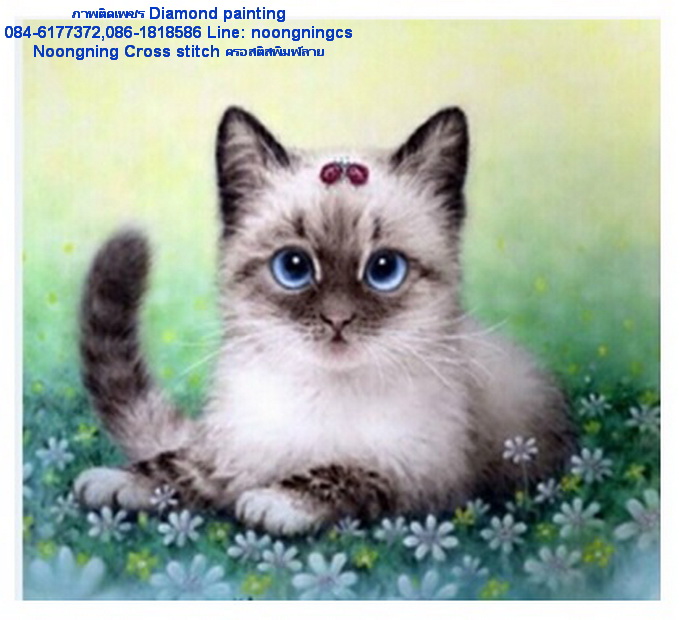 แมวเหมียวครอสติสคริสตัล Diamond painting โมเสก ภาพติดเพชร งานฝีมือ DIY