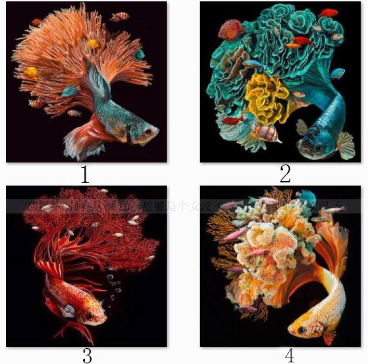 ปลากัด 4แบบ ครอสติสคริสตัล Diamond painting โมเสก ภาพติดเพชร งานฝีมือทำที่บ้าน DIY