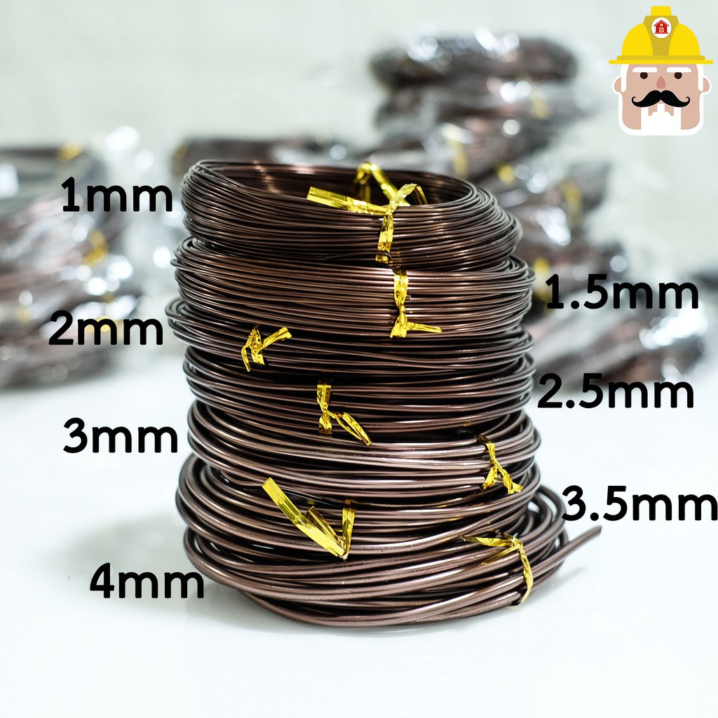 *พร้อมส่ง* ลวดดัดบอนไซ ขนาด100กรัม สีน้ำตาล อุปกรณ์บอนไซ อุปกรณ์ตกแต่งสวน ต้นไม้ฟอกอากาศ ต้นไม้มงคล ลวดบอนไซสีดำ