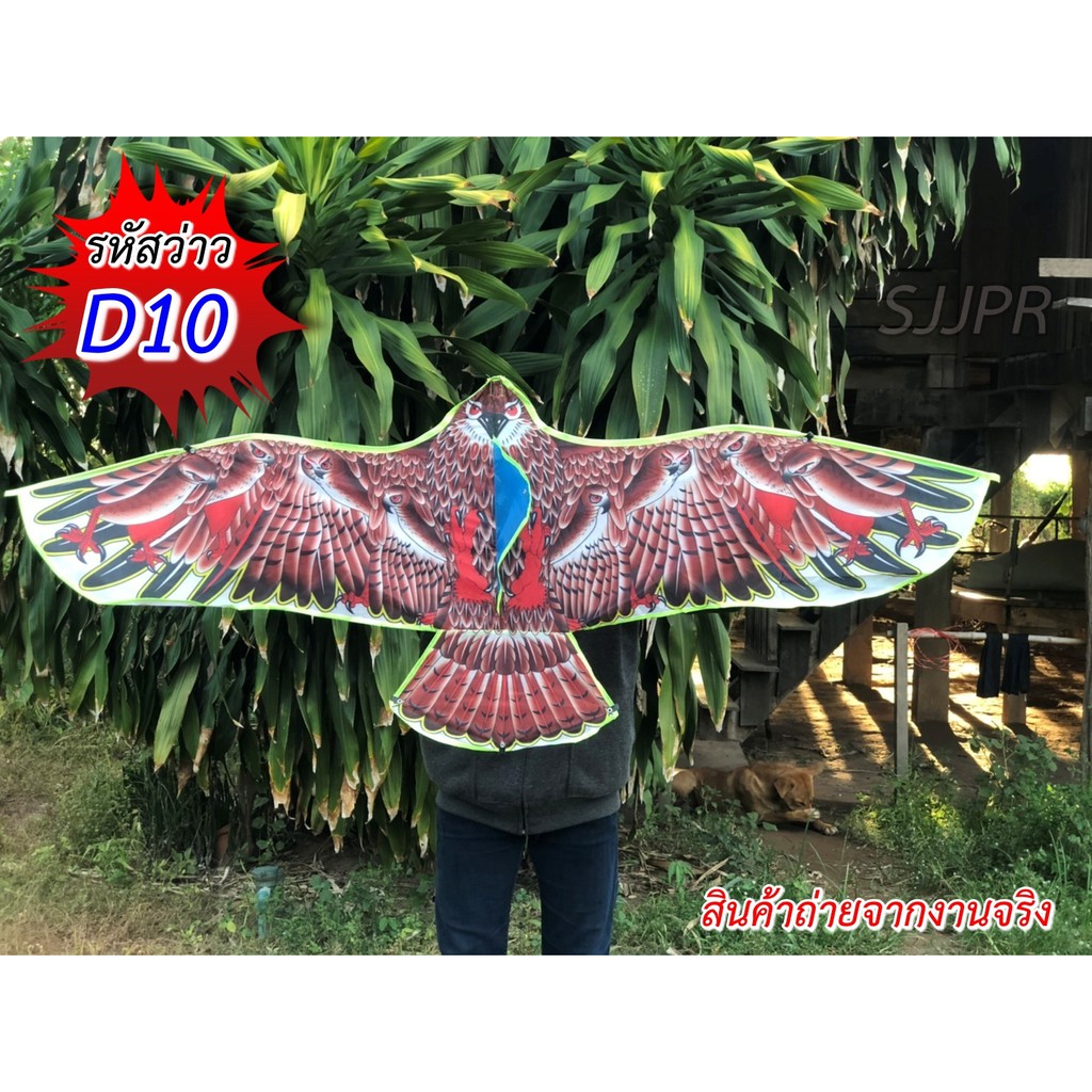 ว่าวไล่นก ว่าวนกอินทรีย์นกเหยี่ยว ว่าวไล่นกกันนกทำลายผลผลิต ว่าวตกแต่งสวน